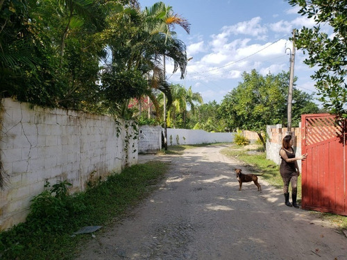 Chácara Em Mongaguá - 2016 - 34283139