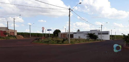 Imagem 4 de 11 de Terreno Plano Pronto Para Construir-bairro Novo. - Te1425