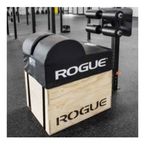 Desarrollador Gluteo Echo Ghd 3x3 Rogue Crossfit Xtreme P