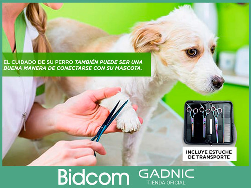 Imagen 5 de 10 de Kit Cortadora Pelo Perros + Tijeras Caninas Con Estuche Pro