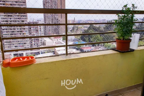 Departamento Lord Cochrane Id: 138657