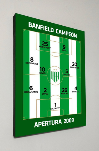 Cuadro Equipo Banfield Campeon 2009  30x40 Cm