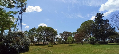 Imagen 1 de 30 de Campo En Venta