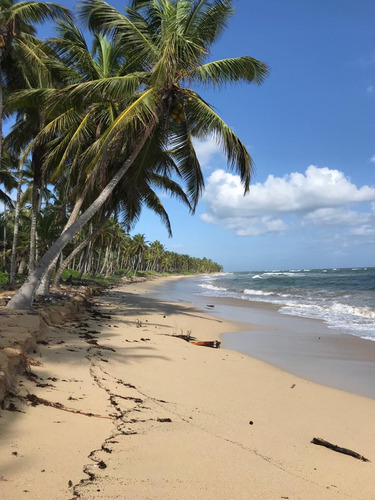 Vendo Terrenos Primera Línea Playa La Vacama Bávaro  Samaná 