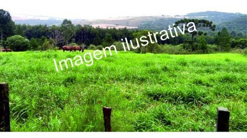 Imagem 1 de 1 de Sem Burocracia - Terreno Em Mairinque/mato Dentro