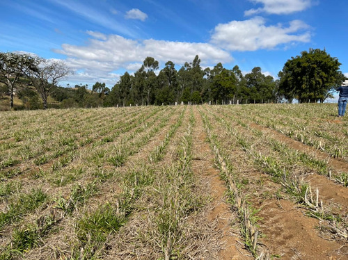 Imagem 1 de 14 de 16- Excelentes Terrenos De 1000m A Venda Em Igaratá