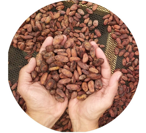 Cacao En Grano, Origen Quindio, Colom - Kg a $17250