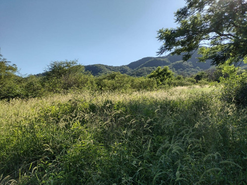 Venta Campo 3200 Hectareas Santiago Del Estero