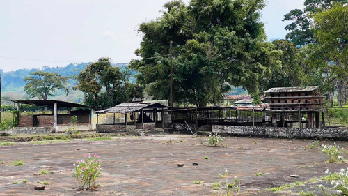 Imagen 5 de 30 de Finca Ganadera En Venta Táchira