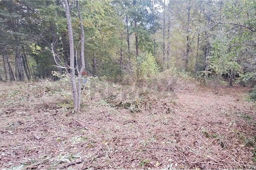 Venta De Terreno En Caburgua