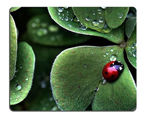 Catarina Sentado Trebol Hoja Verde Tres Insectos Mouse Pads