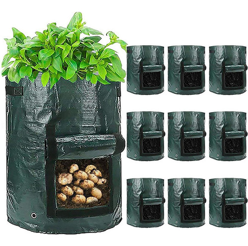 Bolsa Para De , Bolsa Para De Patatas, 7 Galones 30x35cm