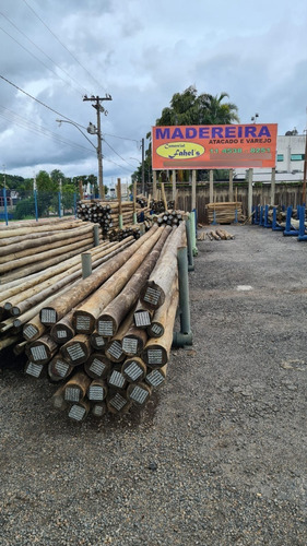 Eucalipto Tratado Santana De Parnaíba