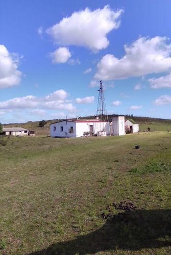 Campo Agrícola Ganadero En Canelones