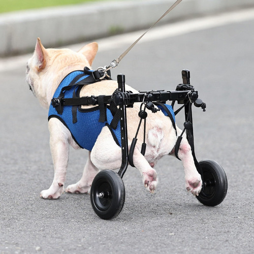 Y Silla De Ruedas Para Perros Carro Ajustable Para Mascotas