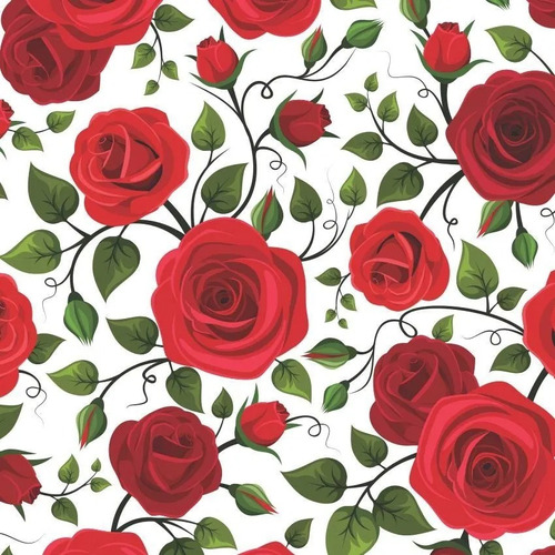 Featured image of post Fundo Branco Com Rosas Vermelhas : Uma rosa vermelha absorve todas as cores, menos a vermelha;