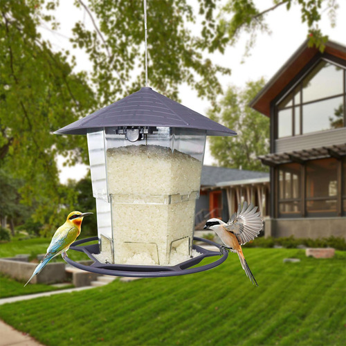 S Para Pájaros Para Al Aire Libre Para Pájaros Contenedor Au