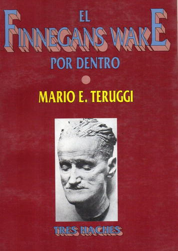 Finnegans Wake Por Dentro Mario Teruggi (th)