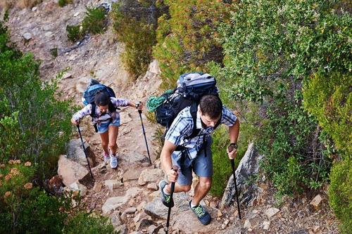 Imagen 8 de 10 de Baston Trekking Baston Montaña Ski Telescopic Alumin Plegabl