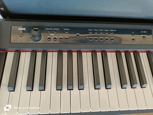 Korg Digital Piano With Weighted Keys (4800 Nuevo)