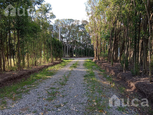 Espectacular Terreno En Venta En Semicerrado En Las Chacras, Zona La Cañada