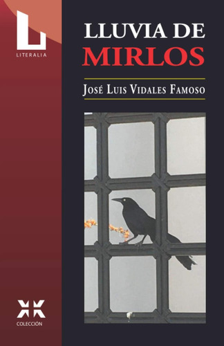 Libro:  Lluvia De Mirlos (spanish Edition)