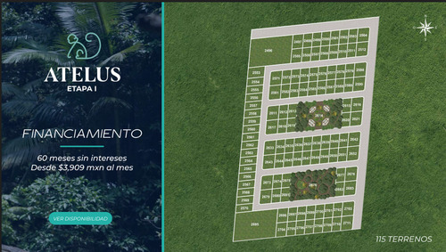 Terrenos En Venta Con Club De Playa En Celestún Yucatán