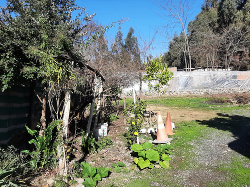 Casas San Fco. De Mostazal - La Punta