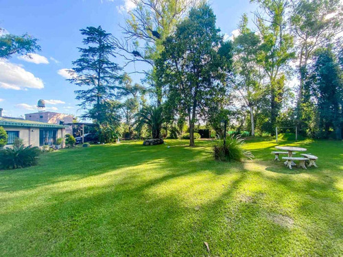 Venta Lote Terreno 4312 Metros Pilar Pileta
