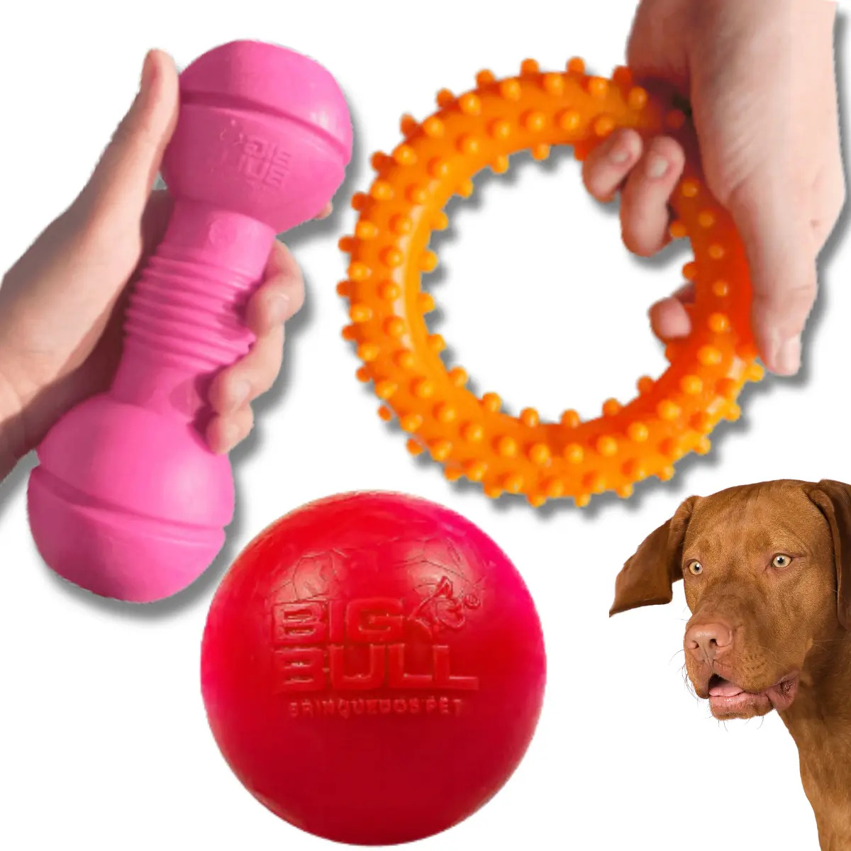 Kit Brinquedos Pet Porte Médio Grande Mordedores Cachorro