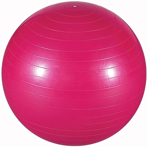 Bola Suiça Pilates 65cm Com Bomba Yoga Abdominais 150kg