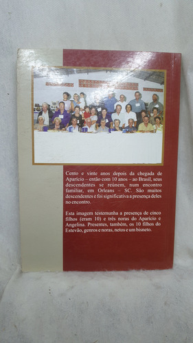 Livro Estevão - Memórias Desde Os Doze - Estevão Volpato - Editora Do Autor (Usado)