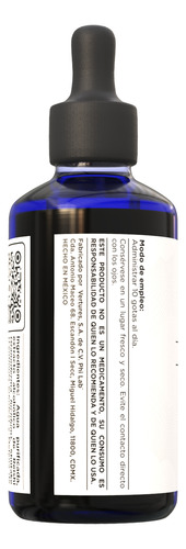 Immunestrenghtener | Shiitake Melena De León Y Reishi | 50ml