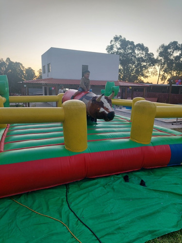 Alquiler De Toros Mecánicos,mini Zamba, Inflable Y Masss!!