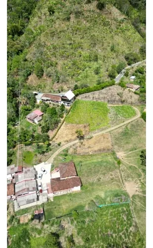 Finca Cafetera En Venta En Andes - Antioquia