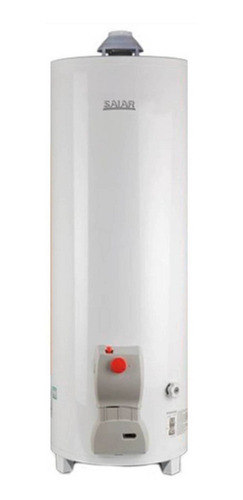 Imagen 1 de 5 de Termotanque Multigas Saiar Tcg080 Blanco 80 Lts. Outlet