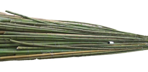 Cañas De Tacuara O Bambu