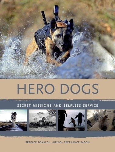Heroes Perros Misiones Secretas Y Servicio Desinteresado