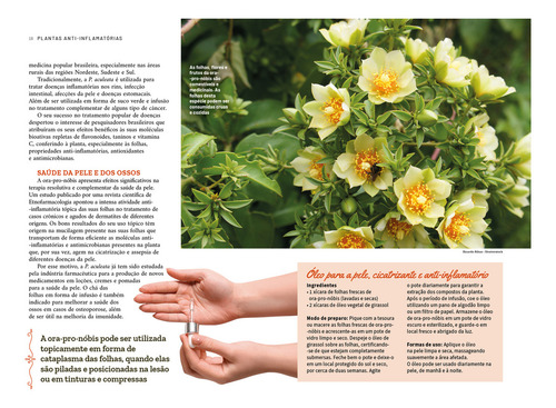 Plantas Anti-inflamatórias