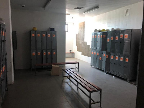 Imagen 10 de 23 de Nave Logística 11.000 M2 En Venta En Campana Sobre Autovía 6