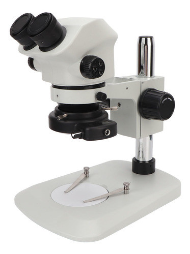 Kit De Microscopio Binocular Light Para Adultos Scientific