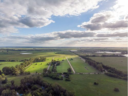 Imagen 4 de 9 de Terreno En Venta De 2800m2 Ubicado En Cañuelas