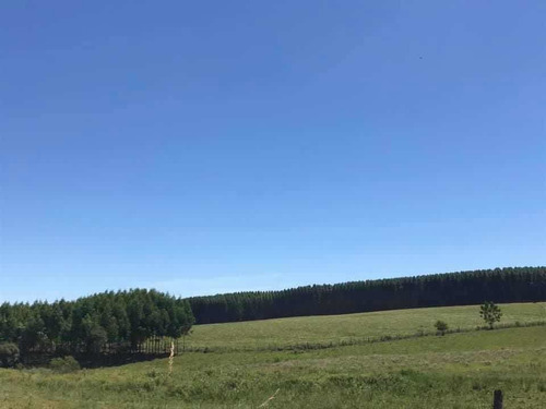 Imagen 8 de 16 de En Venta Parcela De 17 Hectáreas En Miranda