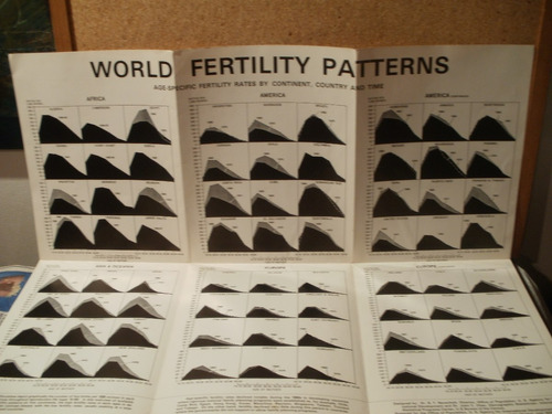 Poster Patrones Fertilidad Mundial Femenina 1974 X Caballito