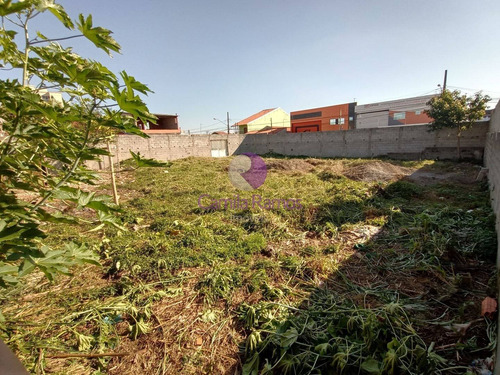 Imagem 1 de 8 de Terreno À Venda 270 M² - Vila Urupês - Suzano/sp. - Te00180 - 69366953