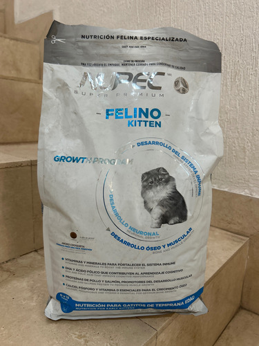 Nupec Felino Kitten