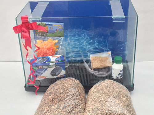 Kit Pecera Completa-40x30x20-base De Regalo! !