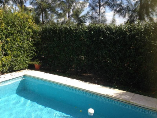 Excelente Departamento Con Jardín Y Pileta. Con Renta Hasta Junio