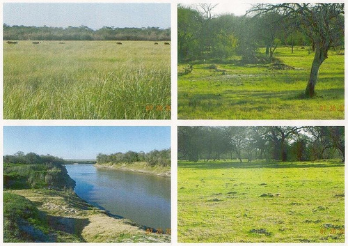 Imagen 2 de 5 de Vende Campo Ganadero - Cría-recría