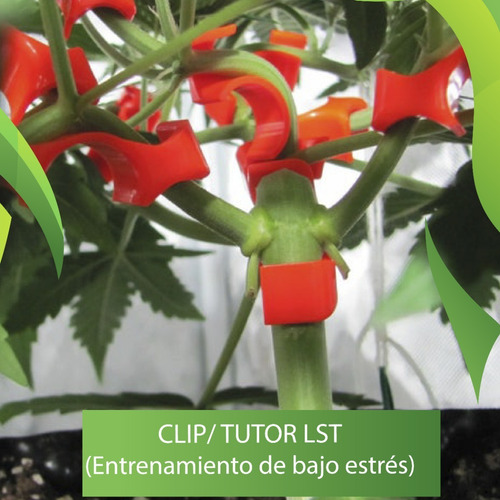 Tutor/clip Lst (entrenamiento De Bajo Estrés) 16 Unidades